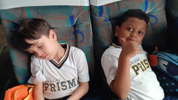 Bicho Mania 2022